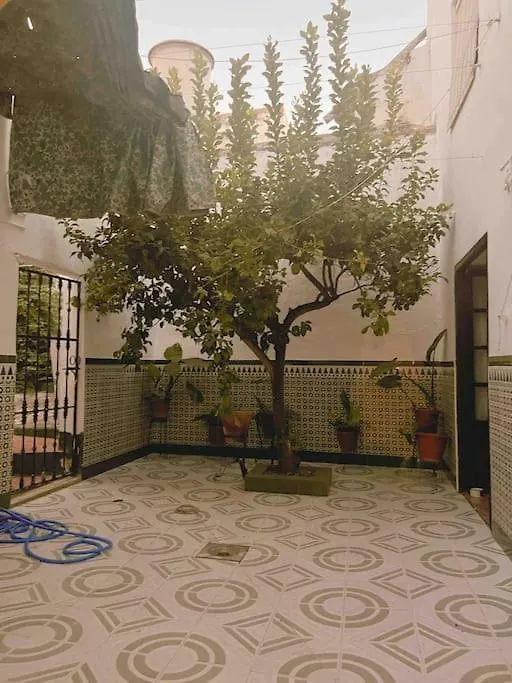 La Casa De Manolita Villa Baena Holiday home